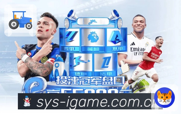 安全通道 - 稳定访问与加密登录